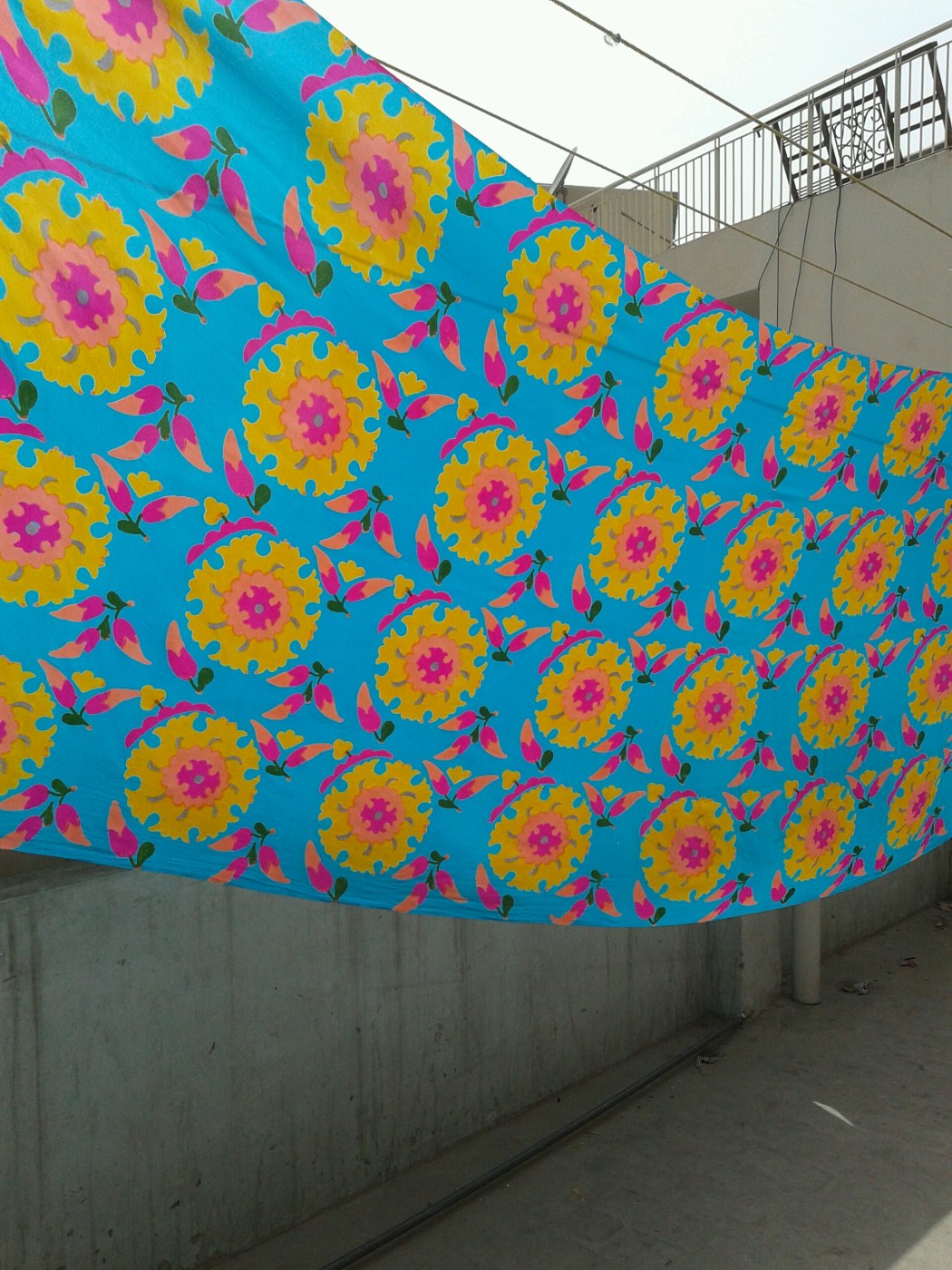 20150509_144011.jpg image